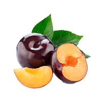 آلو - Plum