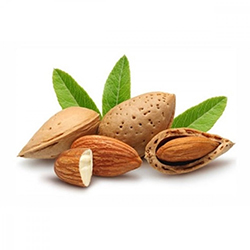 بادام - Almond