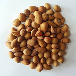 بادام تلخ - Bitter Almond