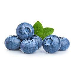 بلوبری - Blueberry