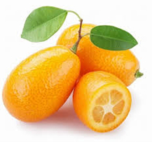 پرتقال کامکوات - Kumquat