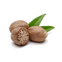 جوز - Nutmeg