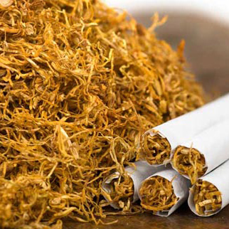 تنباکو - Tobacco