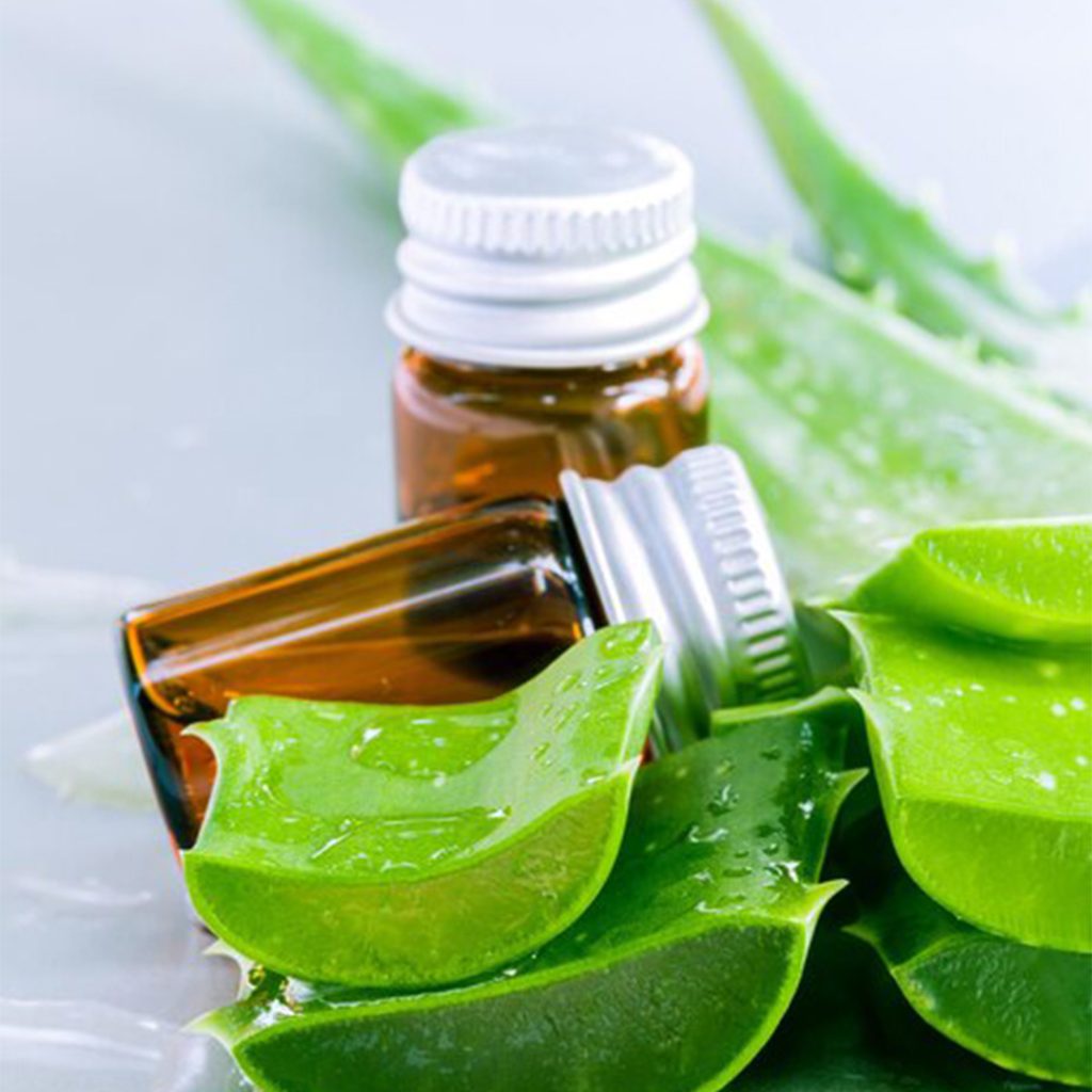 اسانس پایه عطر سازی آلوئه‌ورا