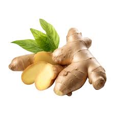 زنجبیل - Ginger