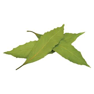 برگ بو - Bay Leaf