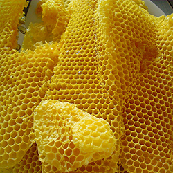 موم - Beeswax