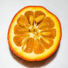 نارنج - Bitter Orange