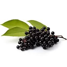 انگور کولی - Black Elder