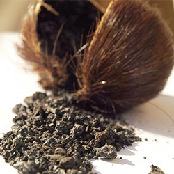 مشک سیاه - Black Musk