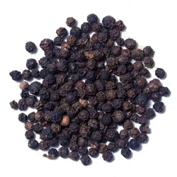 فلفل - Pepper