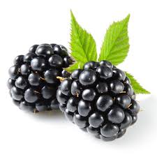 توت سیاه - Blackberry