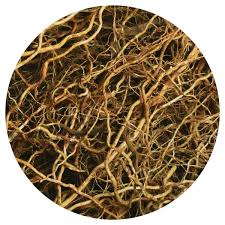 Bourbon Vetiver - علف خس خس بوربون