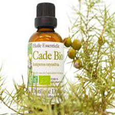 Cade oil - روغن کاد