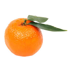 Sicilian Orange - پرتقال سیسیلی