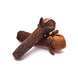 میخک - Clove
