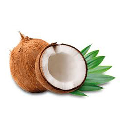 Coconut - نارگیل