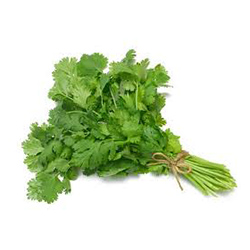 گشنیز - Coriander
