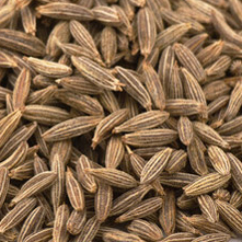 Cumin - زیره