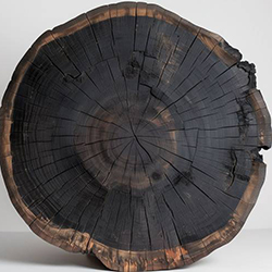 چوب آبنوس - Ebony wood