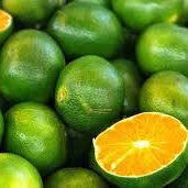 نارنگی سبز - Green Mandarin