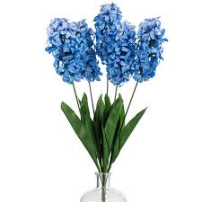 سنبل آبی - Hyacinth Blue