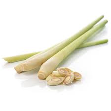 علف لیمو - Lemongrass