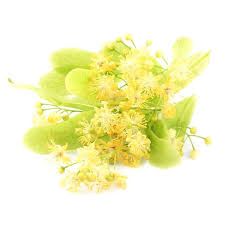شکوفه لیمو ترش - Lime (Linden) Blossom