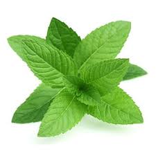 Mint - نعنا