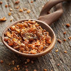 صمغ درختچه مر - Myrrh