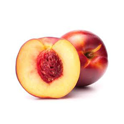 شلیل - Nectarine