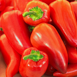 فلفل قرمز شیرین - Pimento