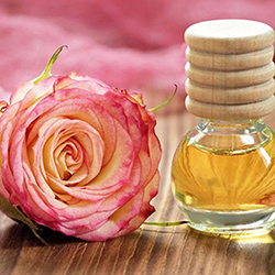 روغن گل رز - Rose Oil