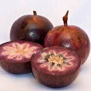 سیب ستاره‌ای - Star Apple