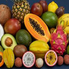 Tropical Fruits - میوه های استوایی