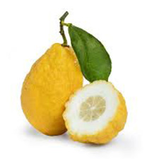 Citron - بالنگ